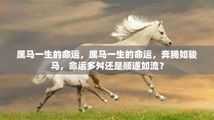 属马人的命运轨迹,一生如骏马奔腾,命运多舛还是顺遂如流?