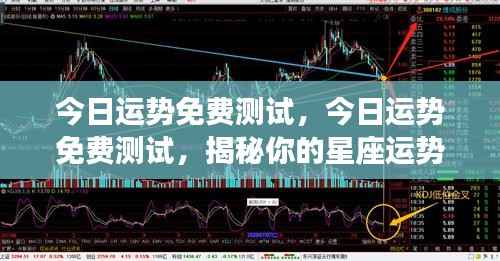 今日星座运势揭秘,免费测试揭示你的星座走向