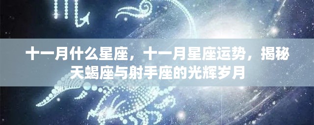 揭秘十一月星座运势,天蝎座与射手座的辉煌岁月与运势展望