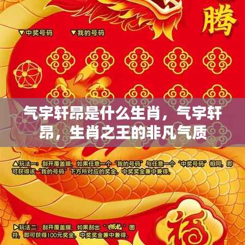 揭秘生肖之王的气宇轩昂,非凡气质展现的生肖风采