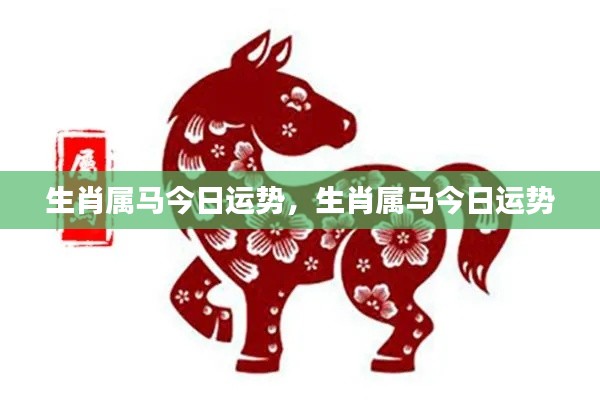 生肖属马今日运势详解