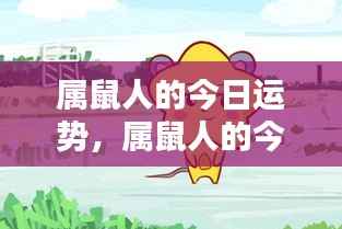 属鼠人今日运势详解