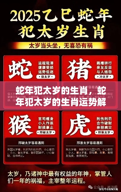 蛇年犯太岁的生肖运势解析与应对策略