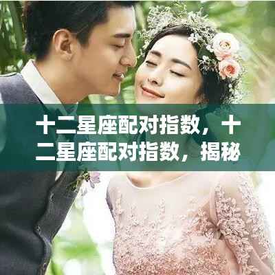揭秘十二星座配对指数,探寻星座间神秘缘分缘分指数大揭秘!