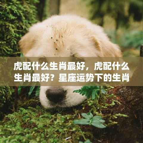 长安米贵 第7页