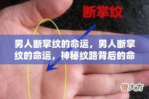 男人断掌纹与命运,神秘纹路的解读与解析