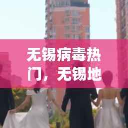 无锡病毒热点与星座运势交织下的微妙变化分析