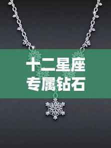 十二星座钻石项链,星辰魅力与个性风采的完美结合