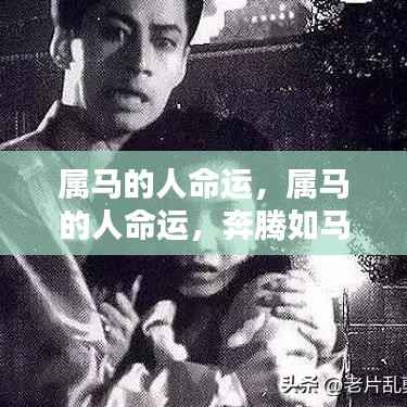 属马人的命运,奔腾之路,多舛还是顺风?