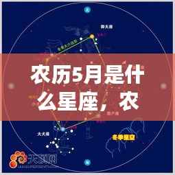 农历五月星座解析与运势,探寻属于你的星座魅力