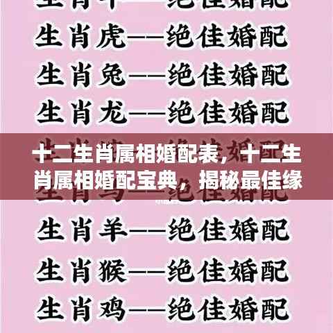十二生肖婚配宝典，揭秘最佳缘分组合与属相婚配表