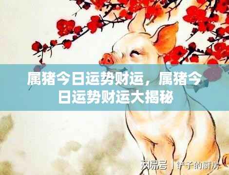 属猪今日运势财运详解,财运大揭秘