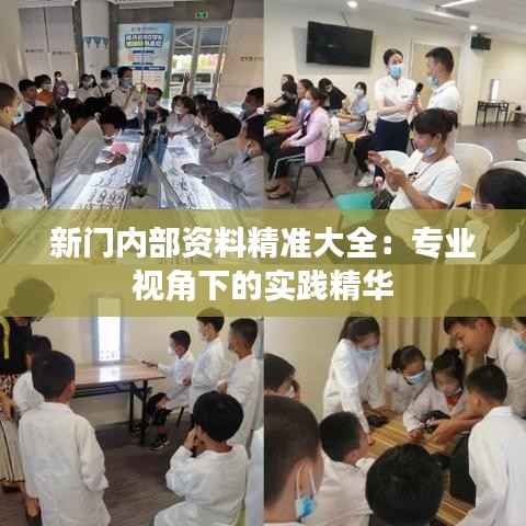 新门内部资料精准大全:专业视角下的实践精华