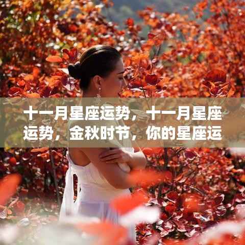 十一月星座运势大揭秘,金秋时节,你的星座运势走向如何?