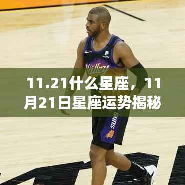 揭秘黄道第三宫的真实力量,11月21日星座运势与星座性格解读