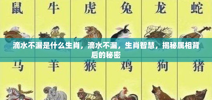 揭秘生肖智慧,滴水不漏背后的属相秘密