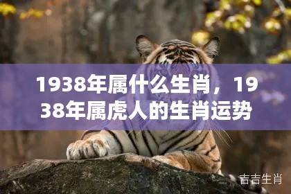 1938年属虎人的运势深度解析及生肖运势探讨