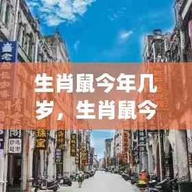 生肖鼠的成长运势解析与年龄解析,成长与运势同步前行,今年生肖鼠多大?