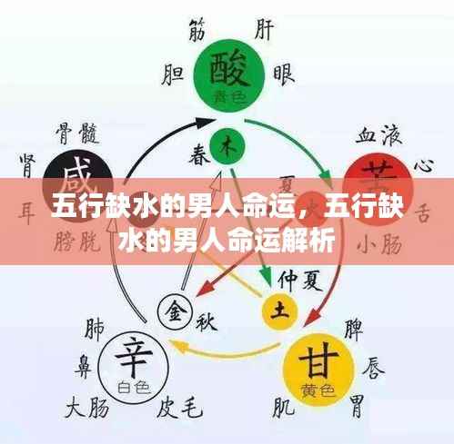 五行缺水男人的命运解析与影响探讨
