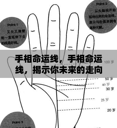 手相命运线揭秘，洞悉未来走向的奥秘线索