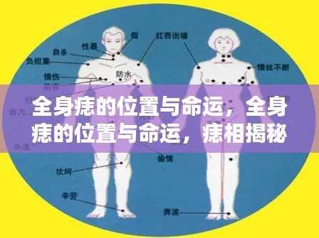 痣相揭秘,全身痣的位置与命运,洞悉人生运势走向