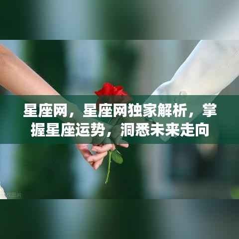 星座网独家解析,掌握星座运势,洞悉未来走向秘籍