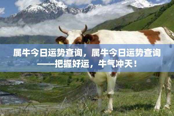 属牛今日运势查询,把握好运势,牛年运势冲天!