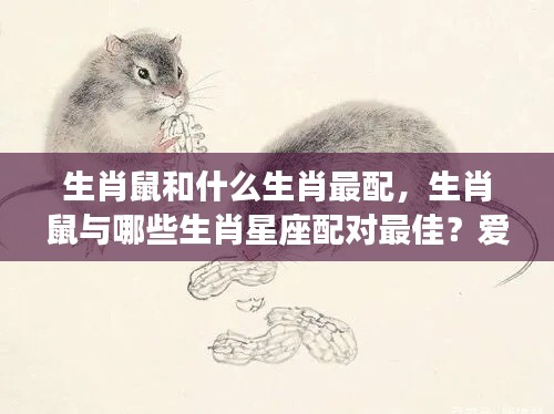 揭秘生肖鼠的最佳配对组合,爱情事业双丰收的星座配对解析