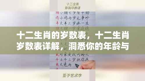 揭秘十二生肖岁数表,洞悉年龄与属相背后的奥秘关系解析