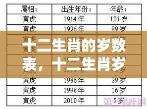 揭秘十二生肖岁数表,洞悉年龄与属相背后的奥秘关系解析