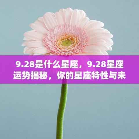 28星座运势揭秘,特性与未来展望