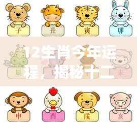 揭秘十二生肖今年运势走向,全方位解读生肖运程展望