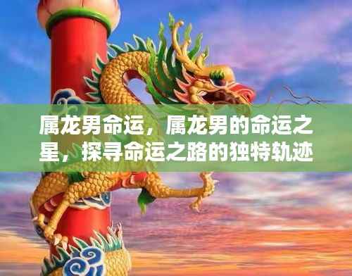 属龙男的命运之星,探寻独特轨迹与命运之路