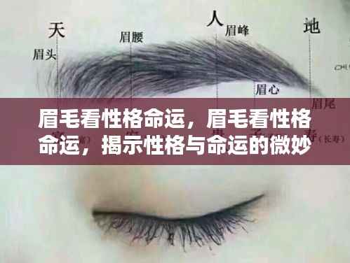 九死一生 第4页