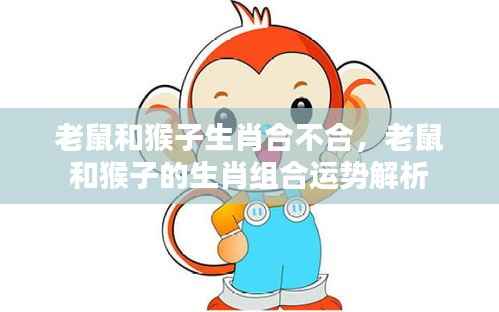 老鼠与猴子的生肖组合运势解析，合作是否和谐？