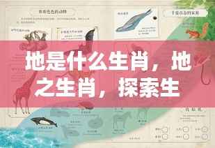 将机就机 第5页