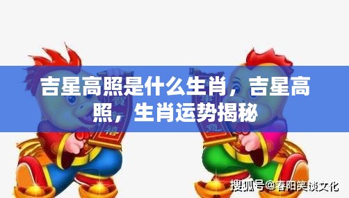 揭秘生肖运势,吉星高照下的生肖揭秘