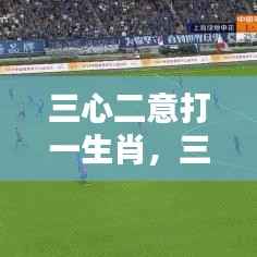 三心二意探寻生肖与心态的奥秘之谜