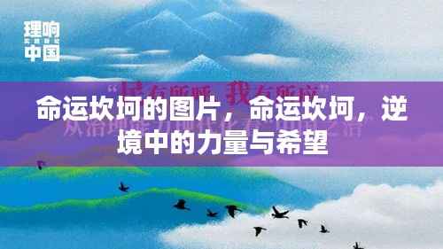 命运坎坷,逆境中的力量与希望之图