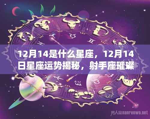 12月14日射手座运势揭秘,璀璨星辉闪耀的时刻