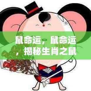 揭秘生肖鼠的运势轨迹,探寻命运之轮中的机遇与挑战