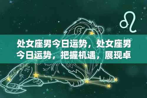 处女座男今日运势详解,把握机遇展现卓越魅力,开启好运之门!