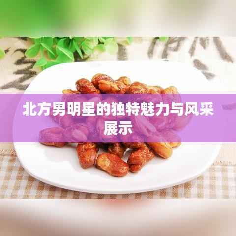 北方男明星的独特魅力与风采展示