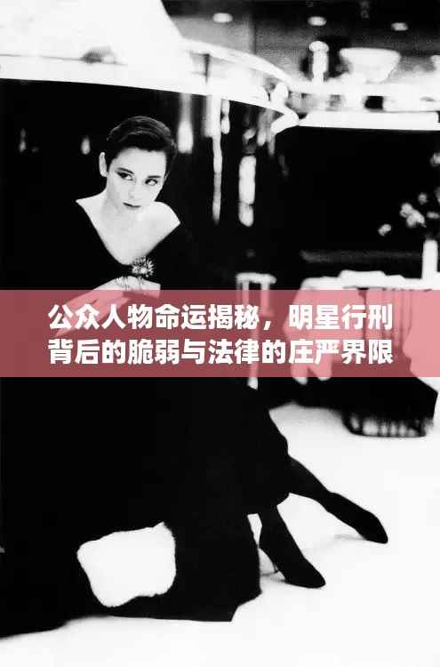 公众人物命运揭秘,明星行刑背后的脆弱与法律的庄严界限