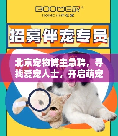 北京宠物博主急聘,寻找爱宠人士,开启萌宠新篇章!