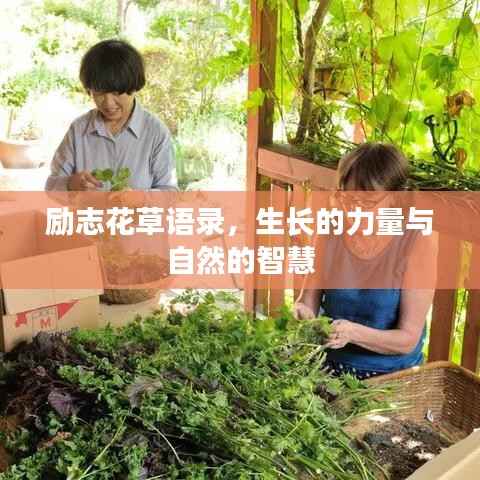 励志花草语录，生长的力量与自然的智慧