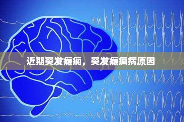 近期突发癫痫,突发癫疯病原因