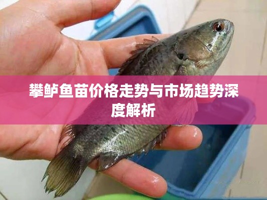 攀鲈鱼苗价格走势与市场趋势深度解析