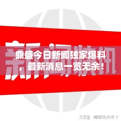 鼎盛今日新闻独家爆料,最新消息一览无余!