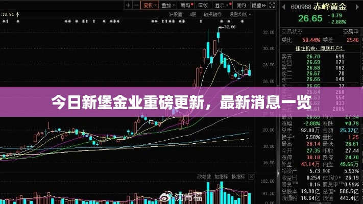 今日新堡金业重磅更新,最新消息一览